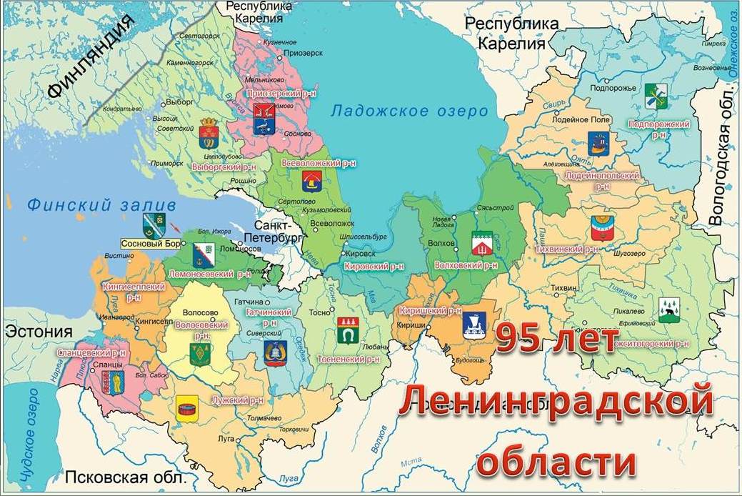 Бабочка над заливом